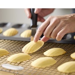 BLOMSTERBERGS MADELEINEFORM TIL 12 STK.