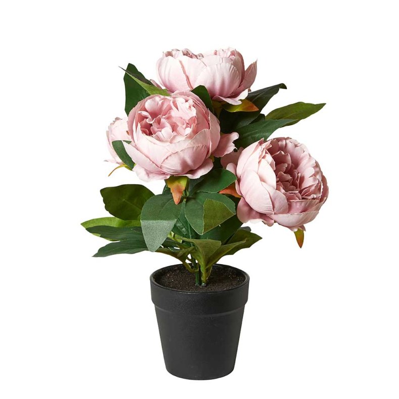 P�ON I POTTE 31CM ROSA