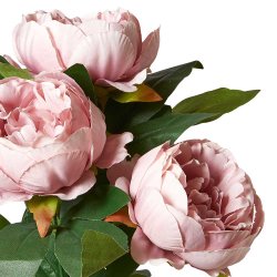 P�ON I POTTE 31CM ROSA