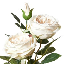ROSE I POTTE 35CM HVID