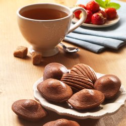 TEFAL SNACK COLLECTION PLADER MINI MADELEINER - NR. 15