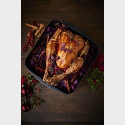 SCANPAN TECHNIQ INDUCTION BRADEPANDE 33 X 33 CM