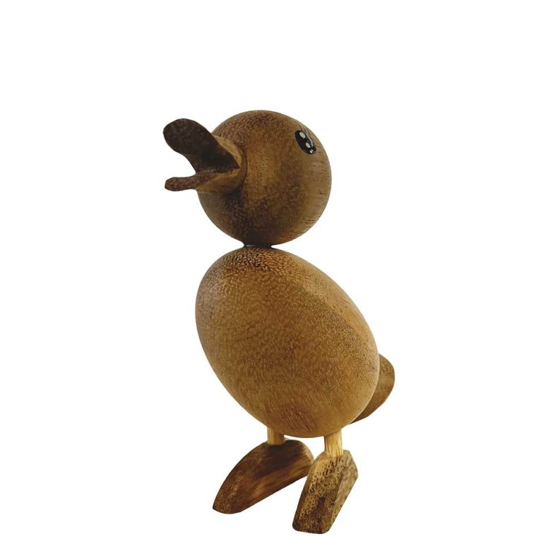 AND H12 CM SUCCITR�