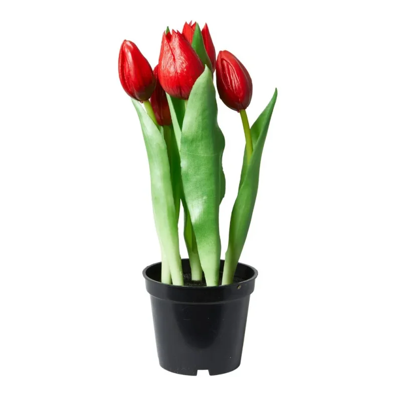 TULIPAER 5STK I POTTE R�D