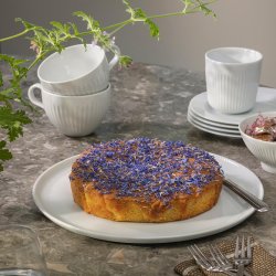 EVA TRIO LEGIO NOVA SERVERINGSFAD �31,5CM