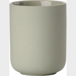 UME EUCALYPTUS TANDBRSTEKRUS