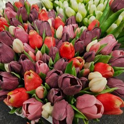 DACORE TULIPAN BUKET 5STK 39CM MULTI ROSA/LILLA