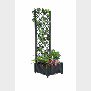 PLANTEKASSE MED ESPAILER