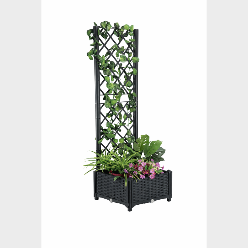 PLANTEKASSE MED ESPAILER