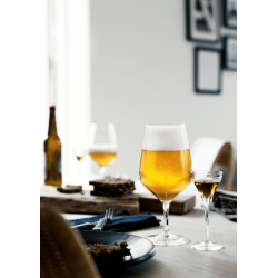 HOLMEGAARD CABERNET LGLAS 64 CL - 6 STK.