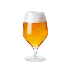 ROSENDAHL PREMIUM LGLAS 60 CL - 2 STK.