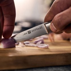 ZWILLING URTEKNIV 10CM FOUR STARS