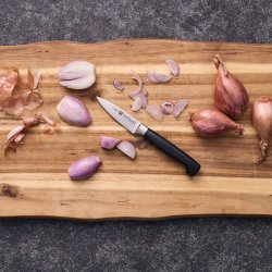 ZWILLING URTEKNIV 10CM FOUR STARS