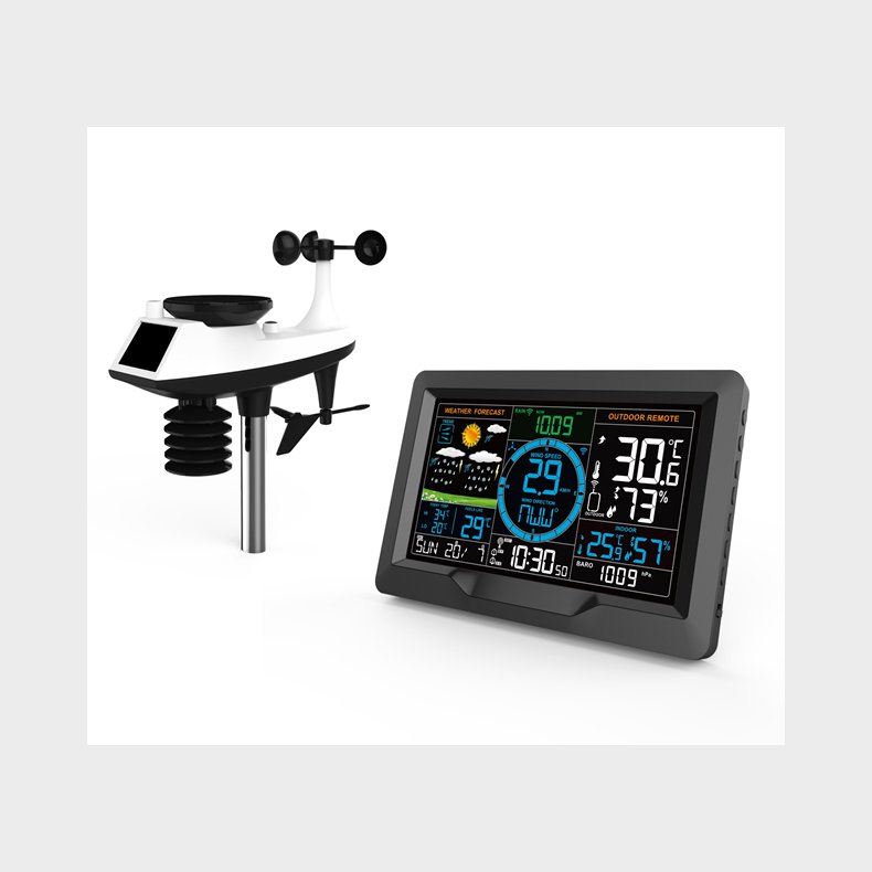 CONZEPT VEJRSTATION PROFESSIONEL MED FARVESKRM