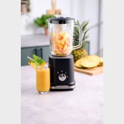 DAY BLENDER 500 W 