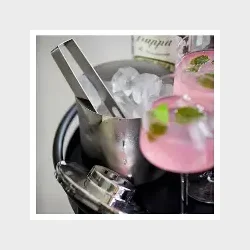 ZONE ROCKS ISSPAND MED TANG STL