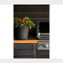 ORTHEX BOTANICA �30CM SKJULER 