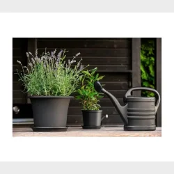 ORTHEX BOTANICA �40CM SKJULER