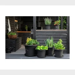 ORTHEX BOTANICA �60CM SKJULER