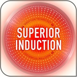 TEFAL EXCELLENCE STEGEPANDE 24 CM 